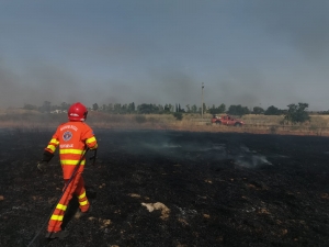 Mesagne. Vasto incendio nei pressi dello stadio e della pineta