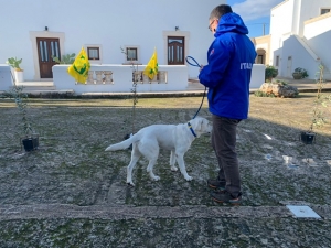 COLDIRETTI, DANNI PER 1 MLD DA PIANTE MALATE DALL’ESTERO