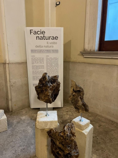 “Facie Naturae: il volto della natura”:  la mostra d’arte di Laurenzia Crescenzo a Fasano