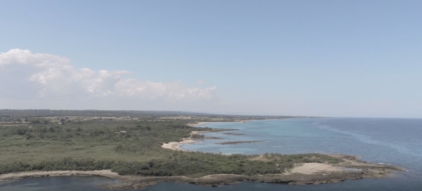 Firmata oggi a Roma la  prima Carta dei Comuni Custodi delle Dune Costiere Mediterranee. Noi abbiamo Torre Guaceto