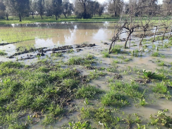 MALTEMPO: COLDIRETTI PUGLIA, 9 COMUNI SU 10 A RISCHIO DISSESTO IDROGEOLOGICO (89%)