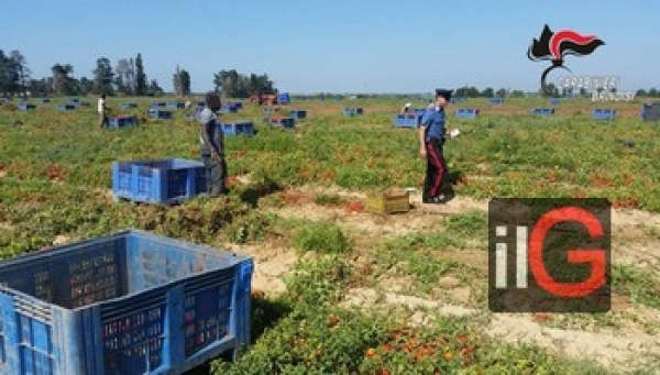 Controlli della “Task Force anti-caporalato”. Denunciato un imprenditore agricolo