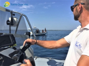 Pesce sempre più protetto a Torre Guaceto: i pescatori si fermano e un abusivo viene condannato