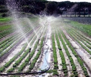 CALDO: COLDIRETTI PUGLIA, CAMPI ALLO STREMO SENZA ACQUA