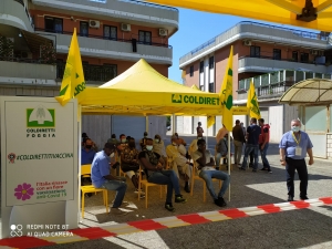 GREEN PASS: COLDIRETTI PUGLIA, SOS FORNITURE CIBO CON OBBLIGO SU LAVORO