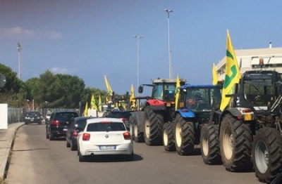 COLDIRETTI PUGLIA, CRACK RACCOLTI SENZA 5MILA LAVORATORI NEI CAMPI