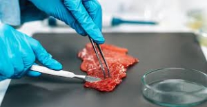 COLDIRETTI PUGLIA, DA OLTRE 9 PUGLIESI SU 10 NO A CARNE ARTIFICIALE