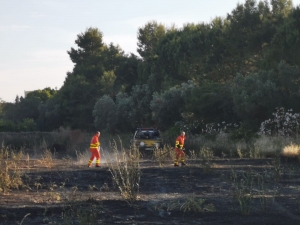 Mesagne. Incendio attiguo a Villa Cavaliere