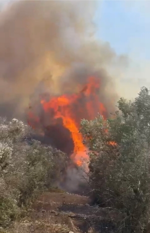 Grosso incendio a San Donaci