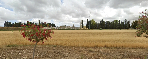 COLDIRETTI PUGLIA, IN AGITAZIONE LE BORSE MERCI PUGLIESI