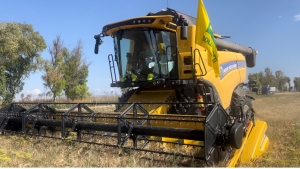 SPECULAZIONI SU GRANO TURCO E RUSSO AFFOSSANO 38MILA AGRICOLTORI IN PUGLIA