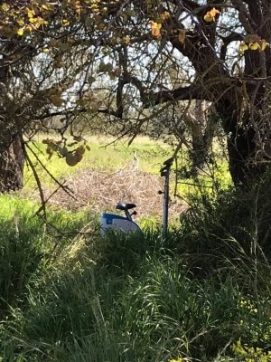 Cyclette abbandonata in campagna