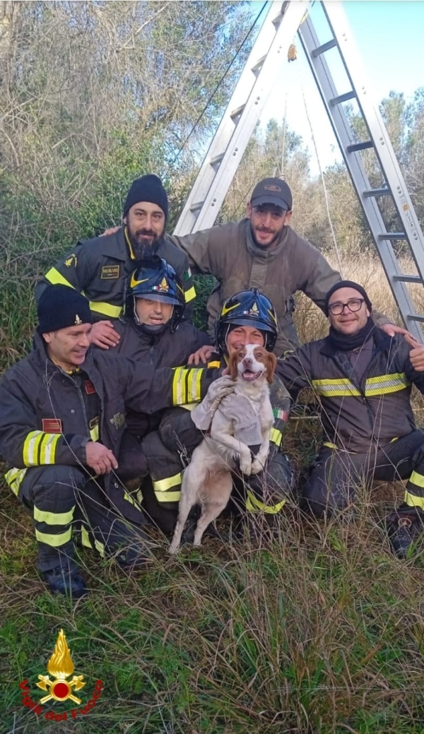 I vigili del fuoco salvano un cane caduto in un pozzo