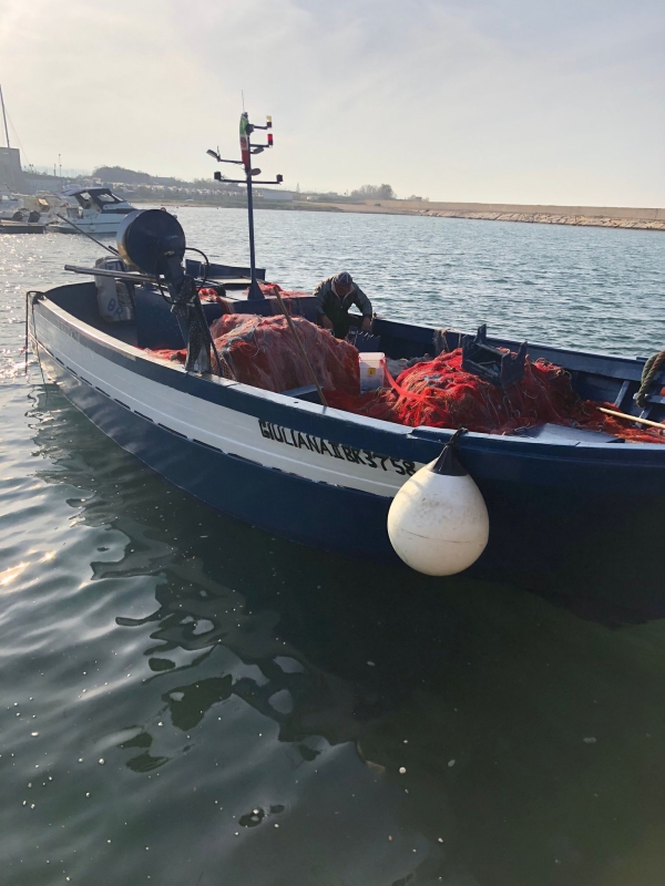 Furti di reti a Torre Canne, Guarino (Flai Cgil): &quot;Maggiori controlli&quot;