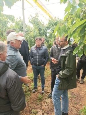 COLDIRETTI PUGLIA, DANNI INGENTI NELLE CAMPAGNE