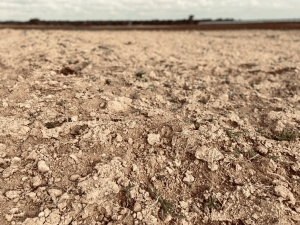 SICCITÀ: COLDIRETTI PUGLIA, NON SI PLACA MORSA IN PUGLIA CON -72% ACQUA