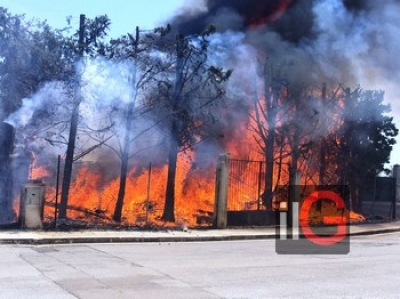 Prefettura di Brindisi. Allarme per gli incendi boschivi