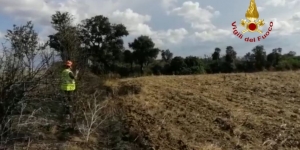 A fuoco il bosco di Santa Teresa, intervengono due canadair (Guarda il video)