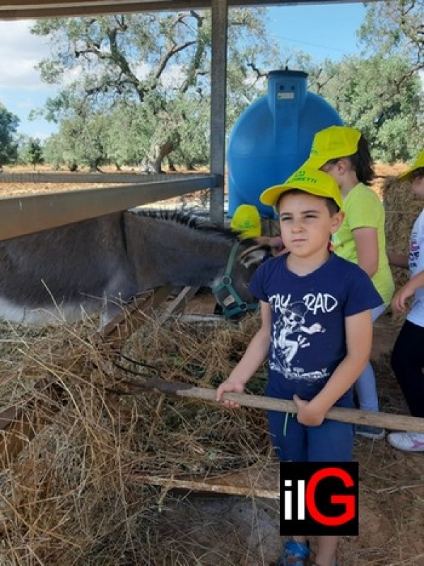 SCUOLA: COLDIRETTI PUGLIA, AL VIA EDUCAZIONE ALIMENTARE PER I BAMBINI