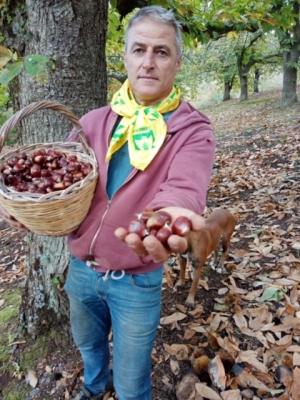 SICCITÀ: COLDIRETTI PUGLIA, ANNATA MAGRA PER LE CASTAGNE (-90%)