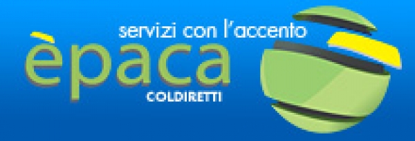 EPACA: arriva il nuovo assegno unico &quot;ponte&quot; e la maggiorazione dell&#039;assegno al nucleo familiare