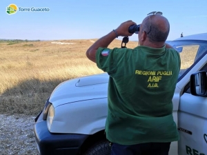 Selezione risorse umane per le attività estive a Torre Guaceto