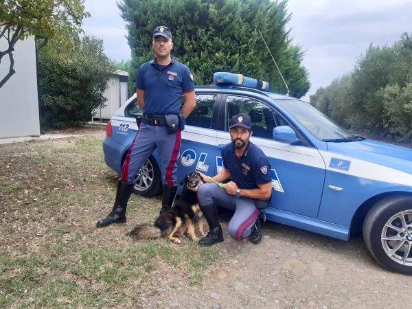 La polizia arresta un uomo per presunta attività di spaccio