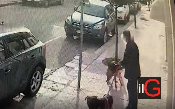 Porta il cane a passeggio e non pulisce. Beccato dalla telecamera (video)