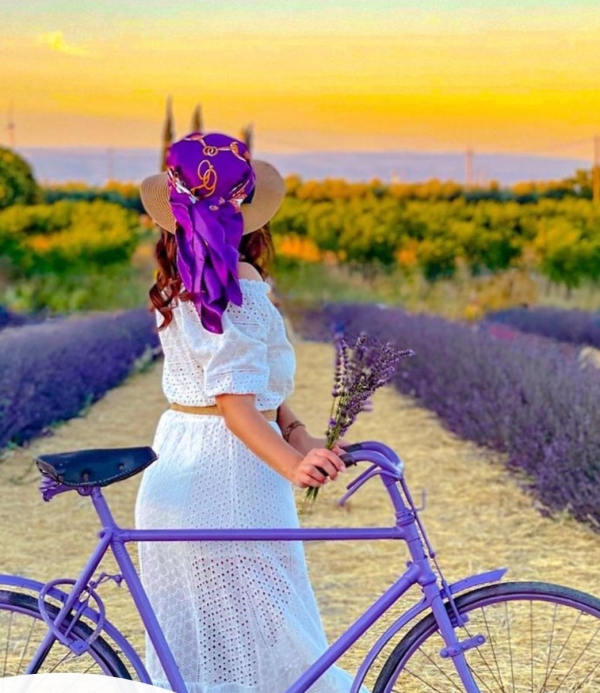 +XYLELLA: COLDIRETTI PUGLIA, ORA SERVE PASSAPORTO ANCHE PER LAVANDA E ROSMARINO