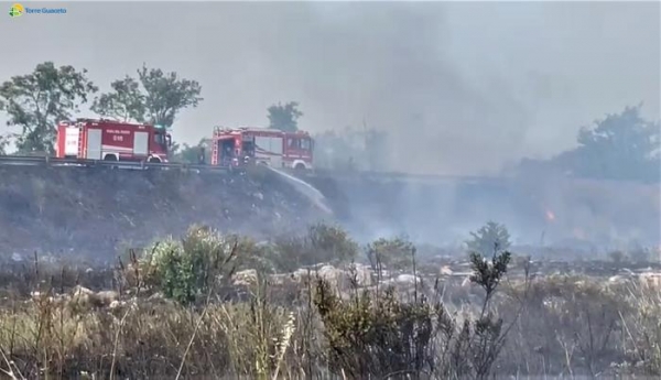 Arif e vigili del fuoco domano incendio a Torre Guaceto (Guarda il video)