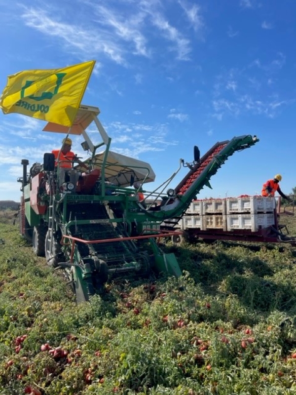 COLDIRETTI PUGLIA, CON PRIMAVERA ANTICIPATA AGRICOLTURA IN TILT