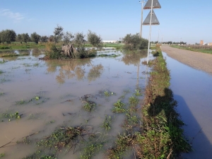 COLDIRETTI PUGLIA, ENNESIMA BOMBA D’ACQUA SI ABBATTE SU VIGNETI