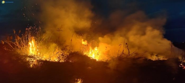 Incendio al chiaro d&#039;acqua più grande di Torre Guaceto: si teme il dolo