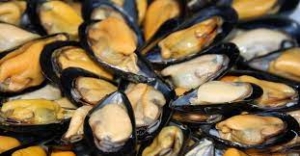 CALDO: COLDIRETTI PUGLIA, STRAGE DI COZZE A TARANTO PER MARI BOLLENTI