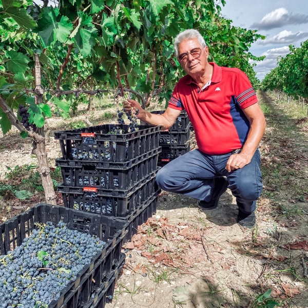 Valorizziamo e caratterizziamo il Brindisi Doc aggiungendo Appia Antica