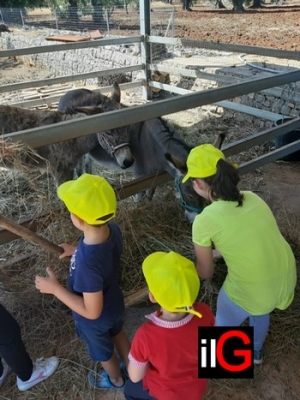 SCUOLA: COLDIRETTI PUGLIA, AGRIDIDATTICA INTEGRATA A DISTANZA PER 6.000 ALUNNI