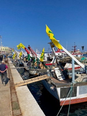 PESCA: COLDIRETTI PUGLIA, SI A TUTELA MARE MA NO A FOLLIE GREEN