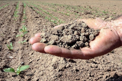 COLDIRETTI PUGLIA, DIGHE PERDONO 4,5MLN METRI CUBI ACQUA IN PUGLIA; 70MLN EURO L’ANNO DANNI PER SICCITÀ