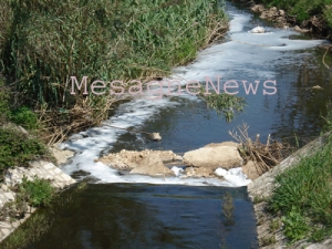 Concorso fotografico per il Contratto di Fiume del Canale Reale