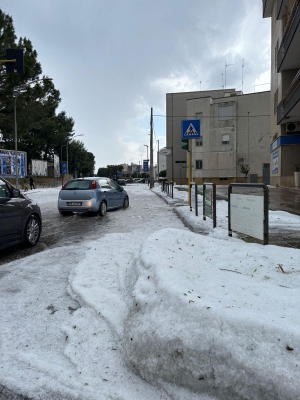 MALTEMPO. COLDIRETTI PUGLIA, GRANDINATA MICIDIALE DISTRUGGE COLTURE