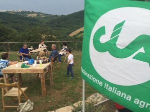 Granaio Italia. Il 14 aprile, a Bari, CIA Puglia incontra i parlamentari pugliesi