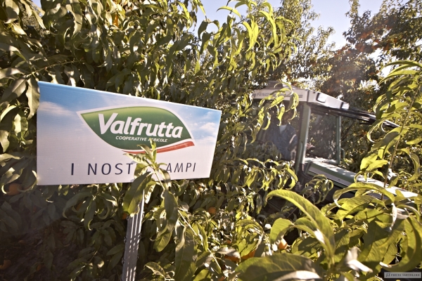 VALFRUTTA È MARCHIO STORICO: IL BRAND DELLA “NATURA DI PRIMA MANO” ENTRA NEL REGISTRO SPECIALE