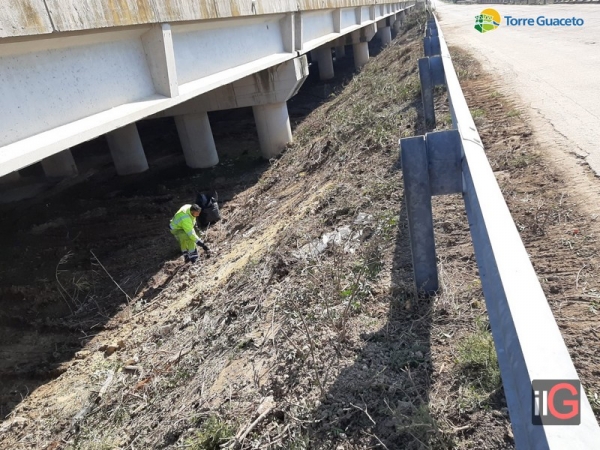 Consorzio e Anas uniti nella lotta all’abbandono di rifiuti a Torre Guaceto