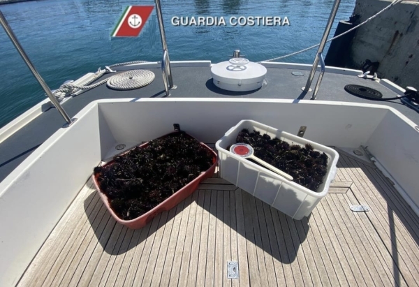 La Guardia costiera sequestra mille ricci di mare