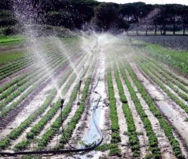 Acqua uso irriguo, Cia Puglia: “Assurdo il raddoppio delle tariffe&quot;