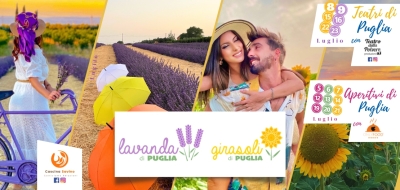 Girasoli e Lavanda di Puglia, campi disegnati e colorati per vivere l’esperienza unica della raccolta dei propri fiori