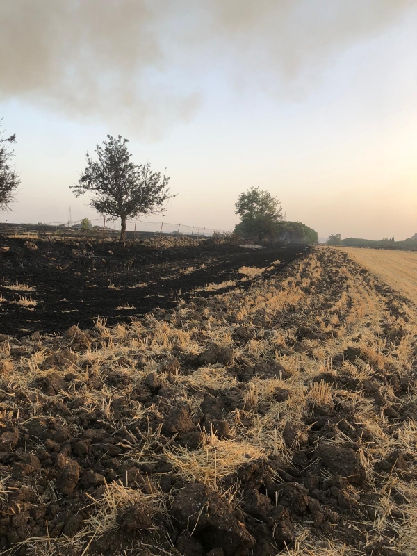 INCENDI: COLDIRETTI PUGLIA, C’E’ MANO PIROMANI IN 6 ROGHI SU 10