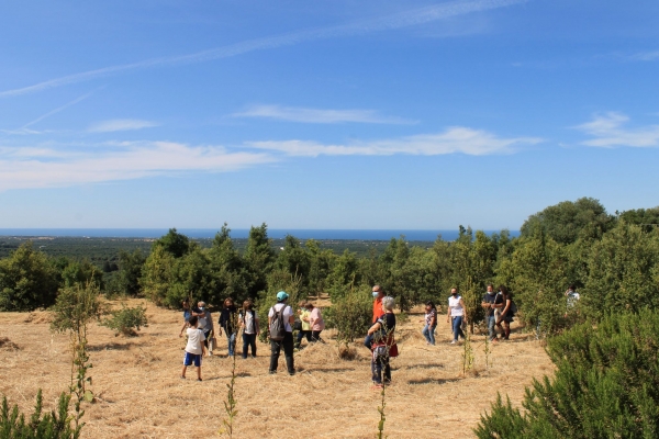 Misteri e Colori: autunno al Parco di Agnano