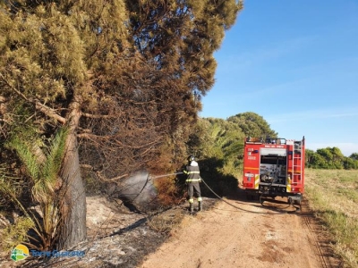 Principio di incendio a Torre Guaceto domato dal Consorzio