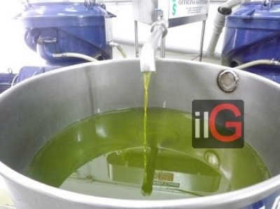 COLDIRETTI PUGLIA, IN 10 ANNI OLIO